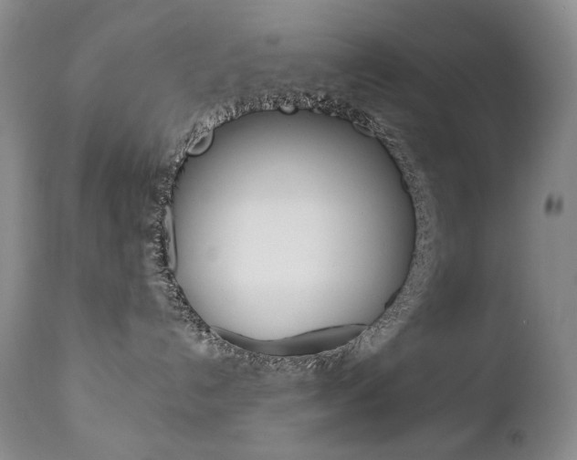 X0000112780192200908201423