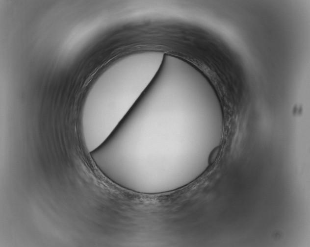 X0000112780194200908201422