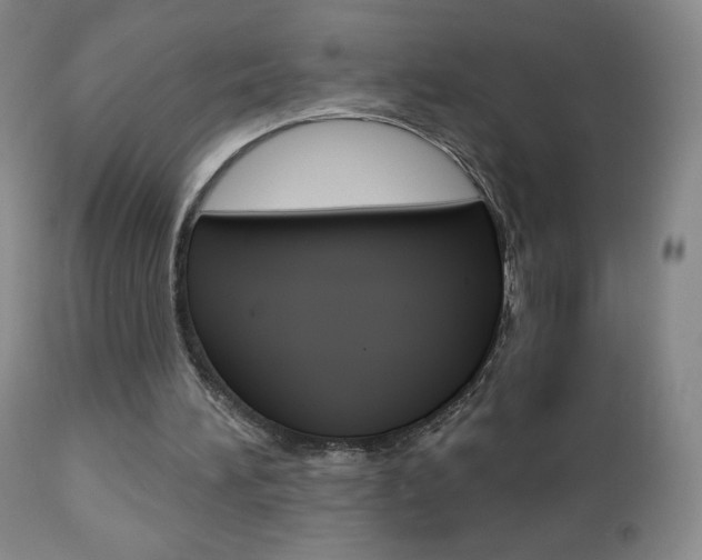 X0000112780196200908201422