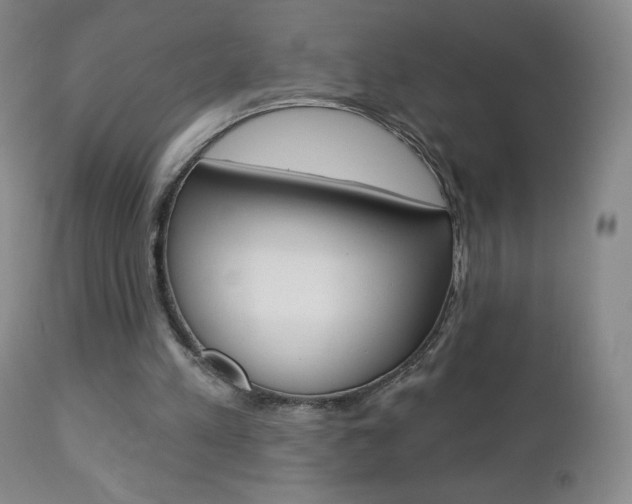 X0000112780197200908201422
