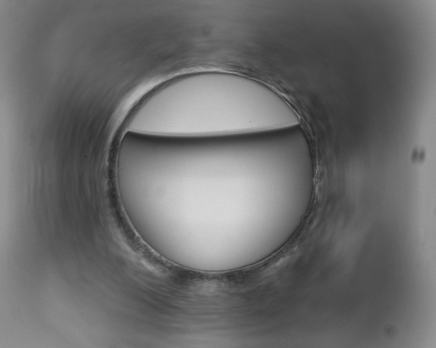 X0000112780200200908201422