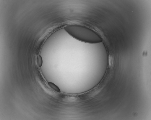 X0000112780205200908201422