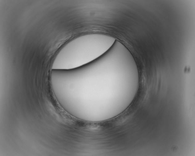 X0000112780206200908201422