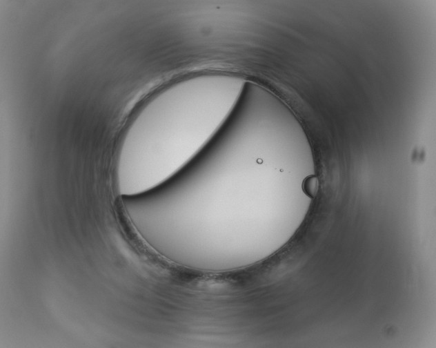X0000112780208200908201422