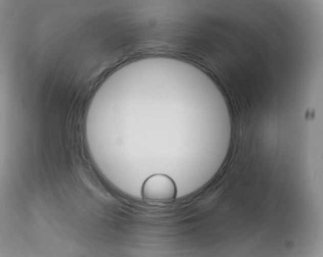 X0000112780215200908201422