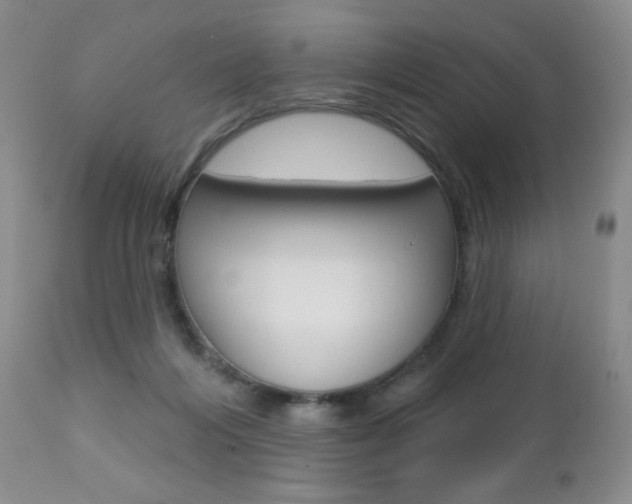 X0000112780216200908201422