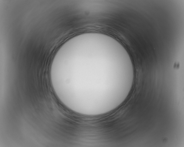 X0000112780217200908201422