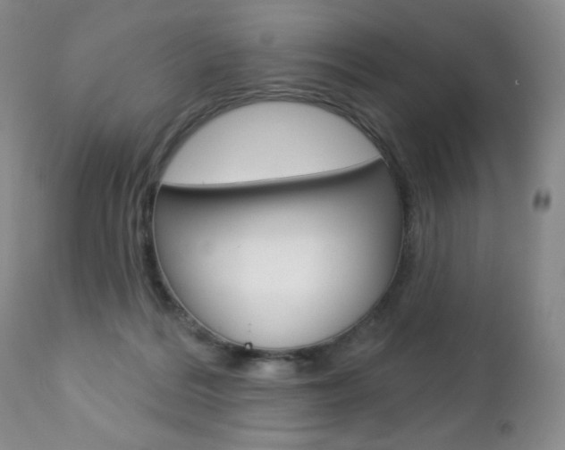 X0000112780220200908201421