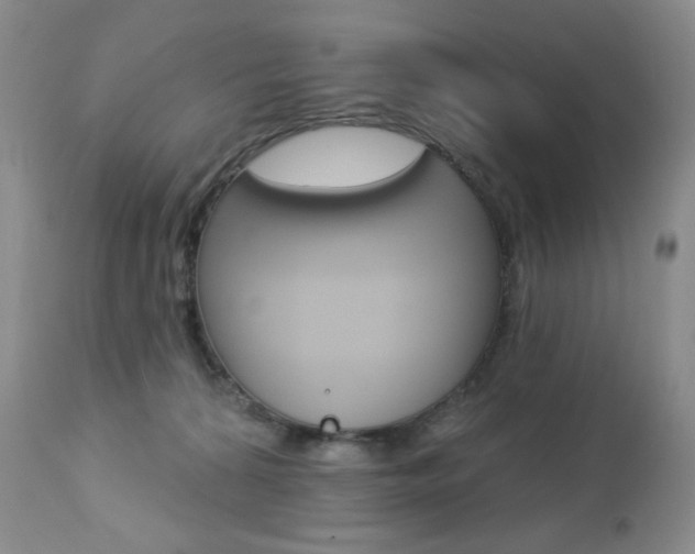 X0000112780224200908201421
