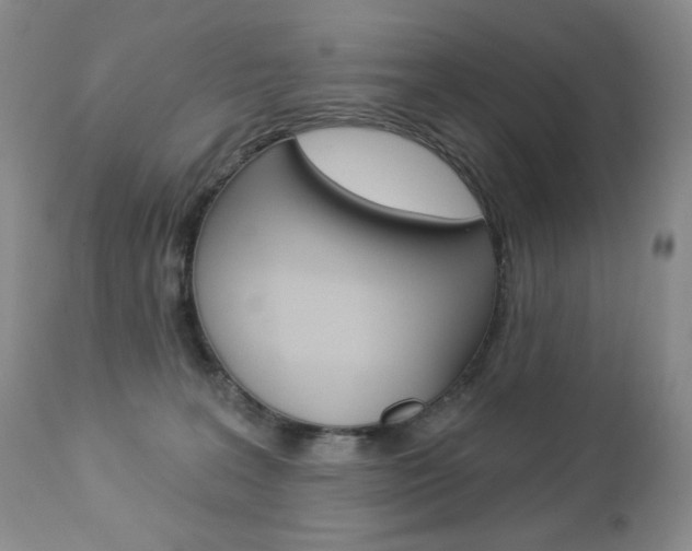 X0000112780227200908201421