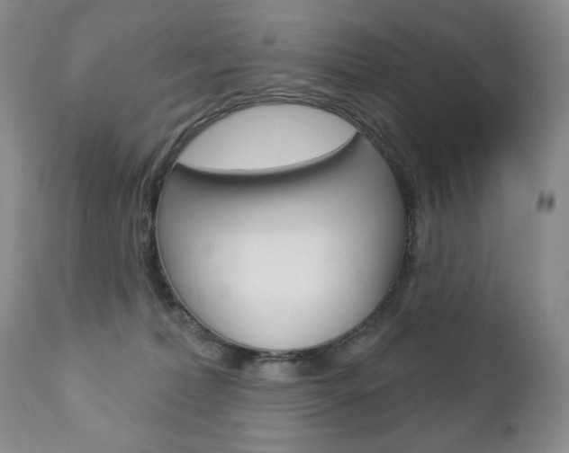 X0000112780228200908201421