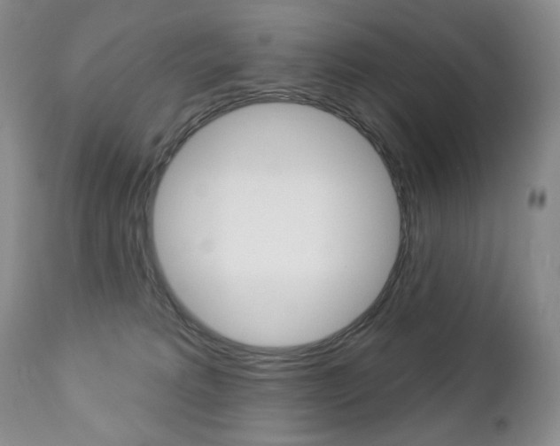 X0000112780229200908201421