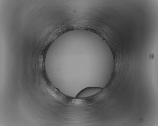 X0000112780231200908201421