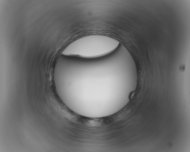 X0000112780232200908201421