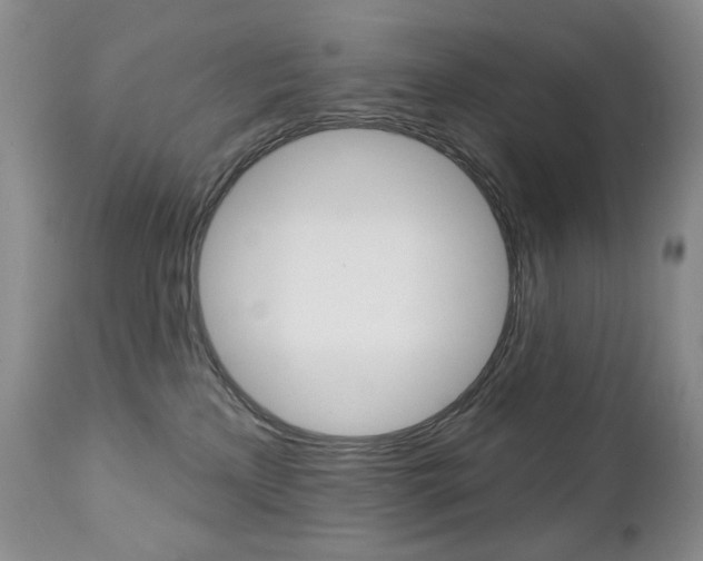 X0000112780233200908201421