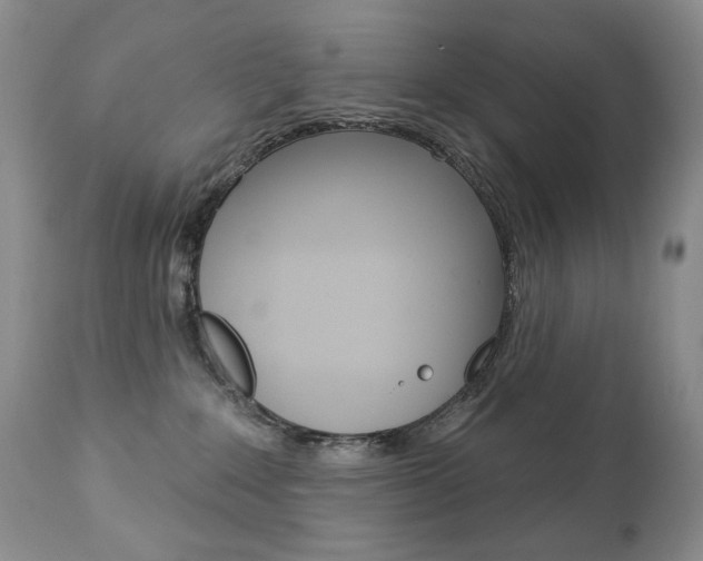 X0000112780235200908201421