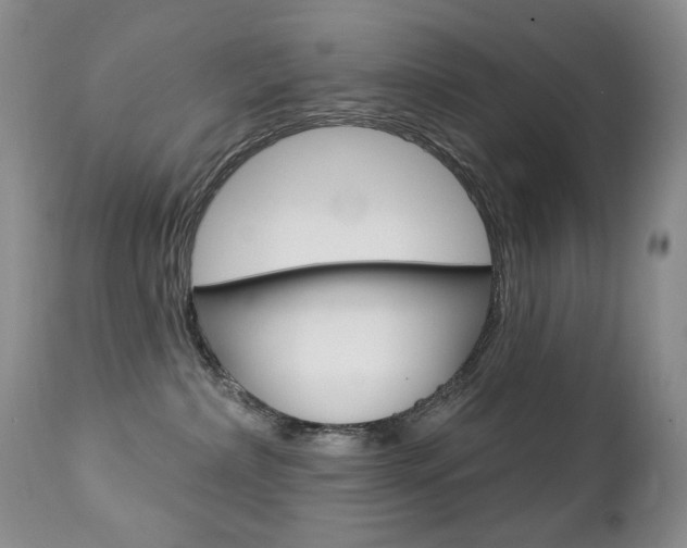 X0000112780236200908201421