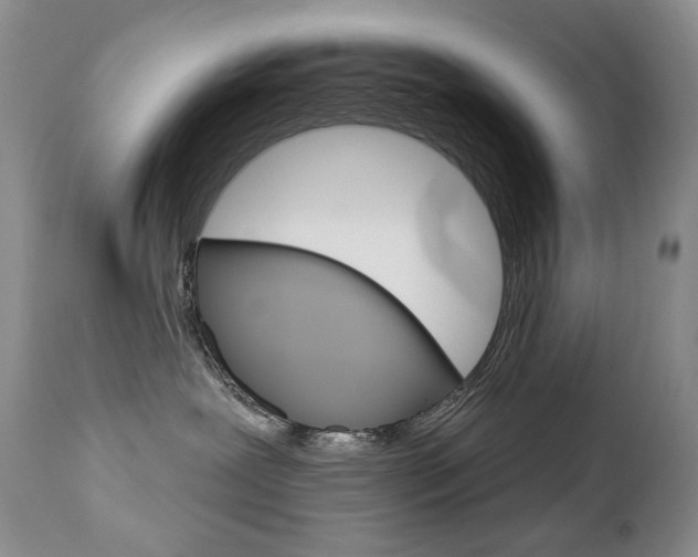 X0000112780239200908201421
