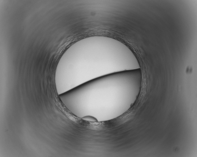 X0000112780240200908201421