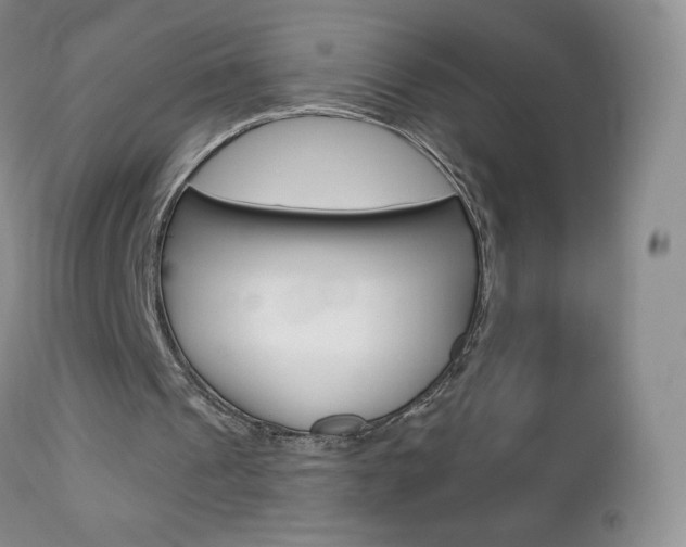 X0000112780241200908201421