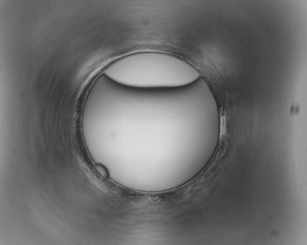 X0000112780243200908201421