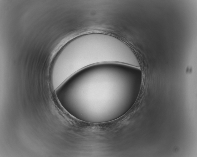 X0000112780244200908201421