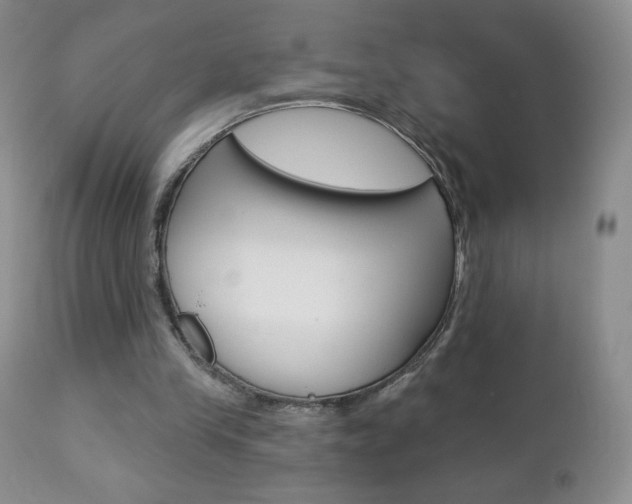 X0000112780245200908201421