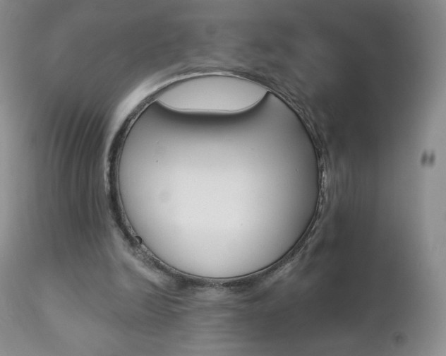 X0000112780246200908201421