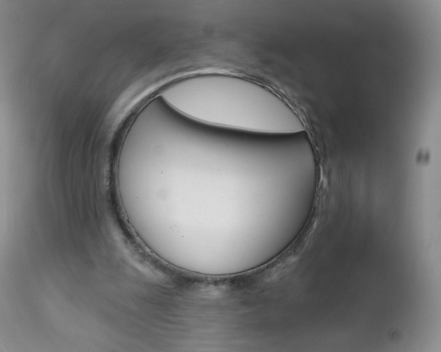 X0000112780247200908201421