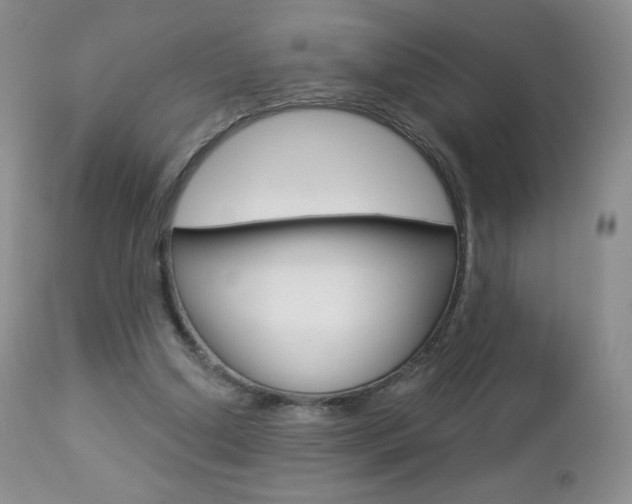X0000112780250200908201421