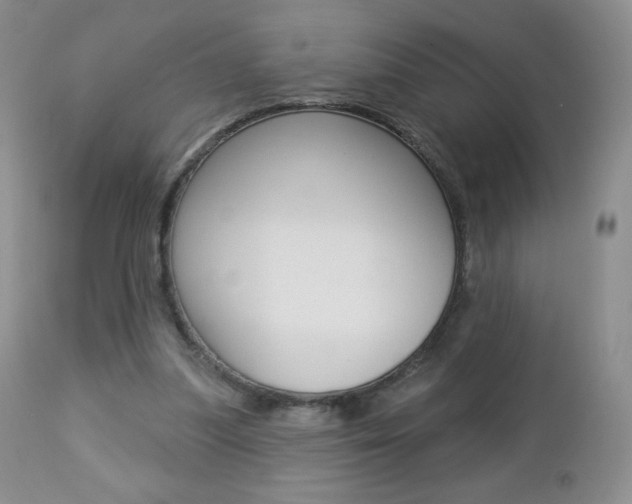 X0000112780251200908201421