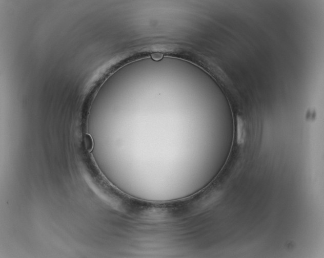 X0000112780252200908201421