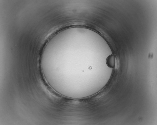 X0000112780253200908201421
