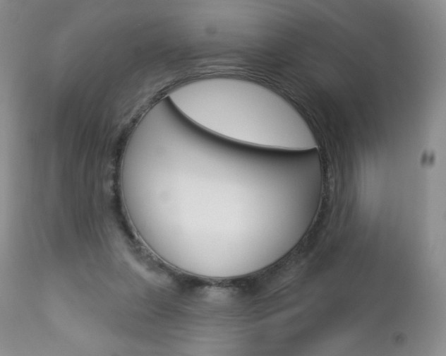 X0000112780255200908201421