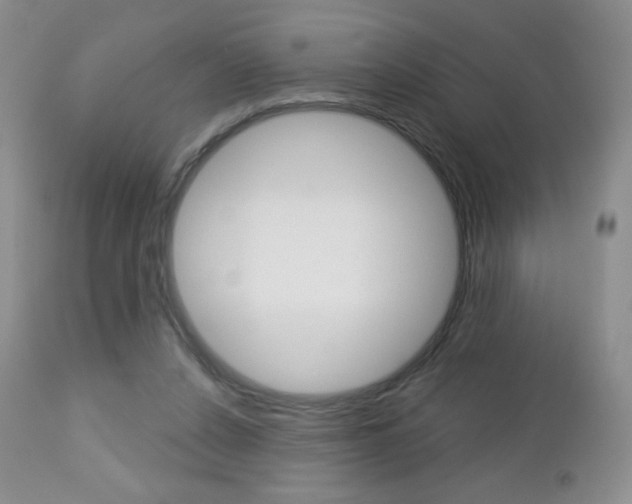 X0000112780256200908201421