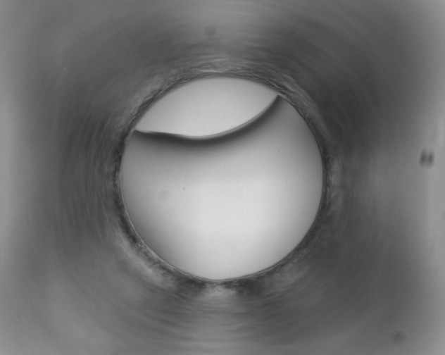 X0000112780257200908201421