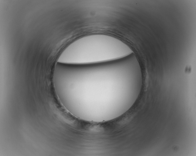 X0000112780258200908201421