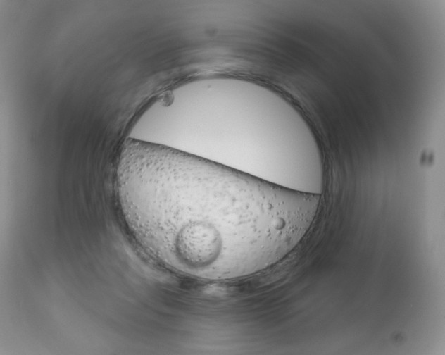 X0000112780261200908201421