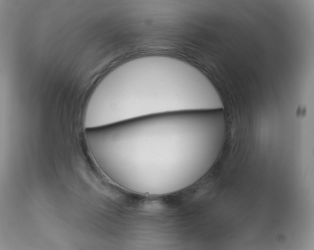 X0000112780262200908201421