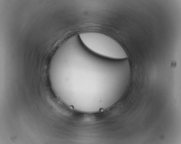 X0000112780263200908201421