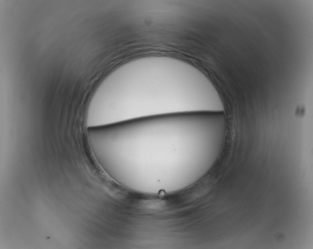 X0000112780266200908201421