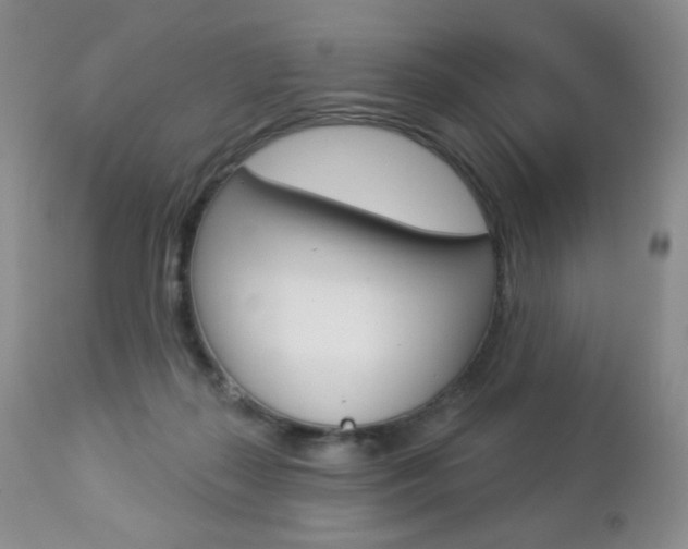 X0000112780267200908201421