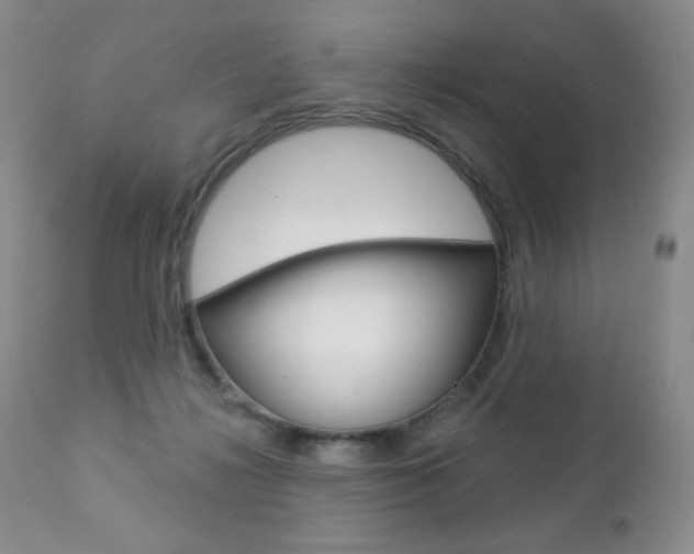 X0000112780268200908201421