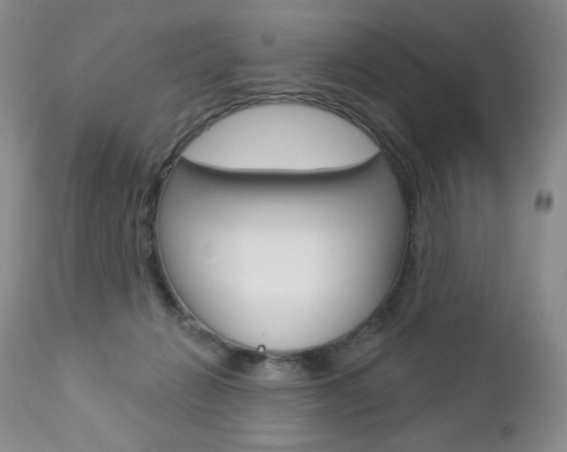 X0000112780270200908201421