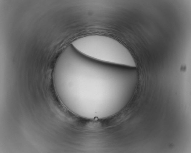 X0000112780271200908201421