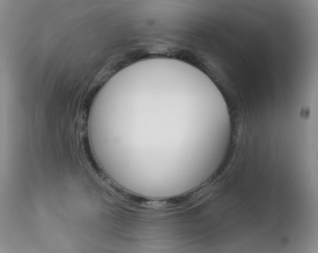X0000112780273200908201421