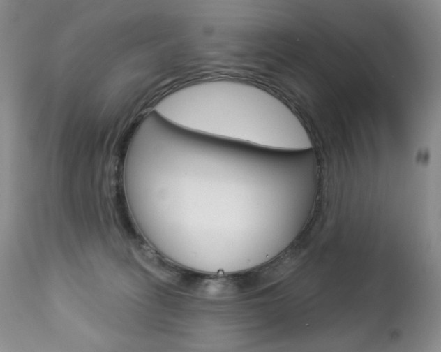 X0000112780275200908201421