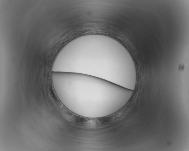 X0000112780277200908201421