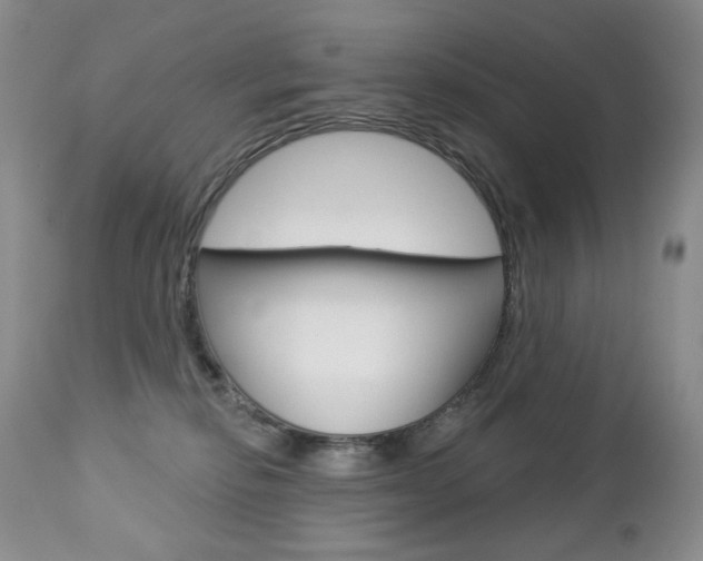X0000112780278200908201421