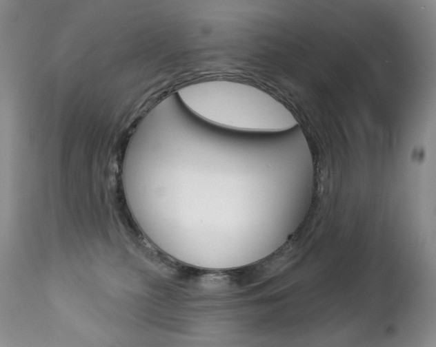 X0000112780279200908201421